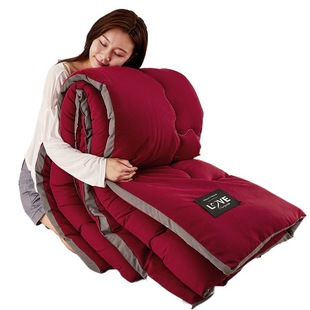 Winter Quilt Thickeneded Washed Cotton Quilt Core Stereo Warm Winter Quilt Quilt Student Dormitory Single Double Spring & Fall Weiyan
