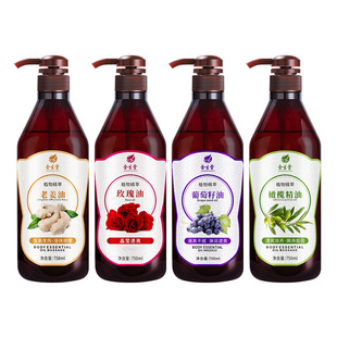 Rose Massage Essential Oil Whole Body Tongmeridian Shoulder Neck Old Ginger Scraping Oil Beauty Salon Massage Oil Open Back Ginger Healing Essential Oil