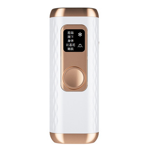 Handheld Beauty Instrument, Portable Electric Skin Rejuvenation Instrument, Photon Skin Rejuvenation Instrument, Cross-Border Household Multi-Functional and Convenient Skin Rejuvenation Instrument