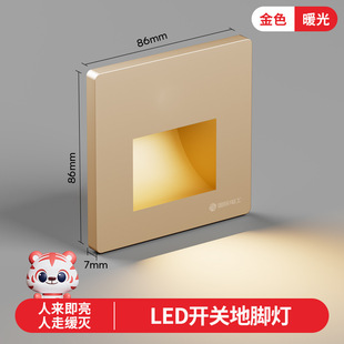 LED Floor Light Human Body Induction Night Light Household Entrance Bedroom Type 86 Embedded Away Staircase Light Night Light