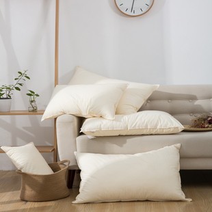 Japanese Style Simple Cotton 60 Washed Cotton Natural Color Pillow Class A Yizheng Feather Velvet Children's Pillow Core Low Pillow for Students
