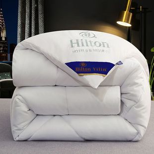 Five-star hotel feather velvet quilt thickened warm winter quilt spring and autumn quilt single double student dormitory quilt core