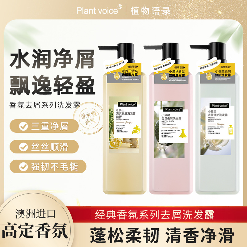 Plant Language Fragrance Freesia Shampoo Floral Fragrance Long-Lasting Fragrance Ginger King Care Series Shampoo Hair Care