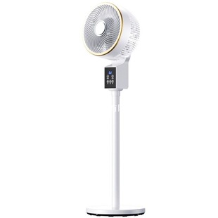 Air Circulation Fan Household Electric Fan Festival 2024 New Silent Remote Control Desktop Shaking Head Small Floor Fan Turbine