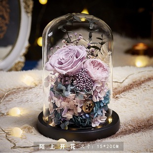 Вечная цветочная коробка Little Prince Glass Cras 520 День Святого Валентина подарок подарок