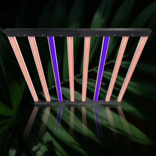 Three Dimming Plant Growth Lamp Indoor Led Plant Lamp 800W Foldableing Growth Lamp Full Spectrum White Light Red Light Uv