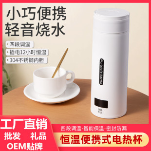 Portable Kettle Electric Heating Water Cup Travel Small Mini Electric Kettle Dormitory Student Household Water Cup