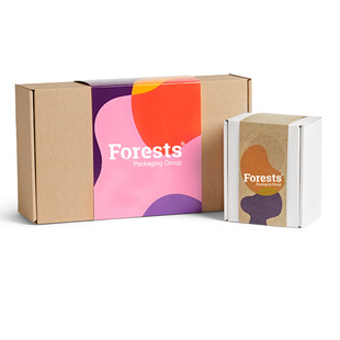 Custom single tile Kraft paper corrugated aircraft type with waist seal gift packaging box