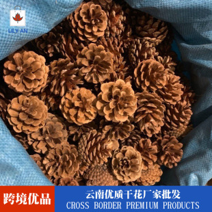 Pine Cone Christmas Decorations Pendant Creative Ornaments Shooting Props Dried Flower Pine Cone Handmade DIY Material Base Hair
