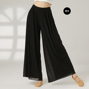 Classical Dance Dance Practice Pants Teacher Mesh Dance Pants High Waist Elegant Clothing