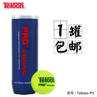 Yutian Teloon Tianlong Tennis Tour Pound P4