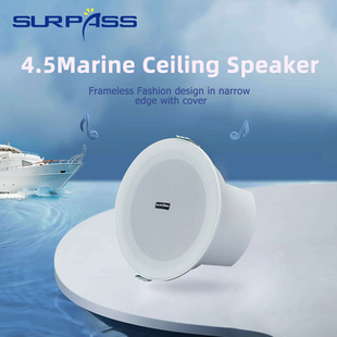 Ceiling Ceiling Embedded Horn Speaker Ceiling Horn Shopping Mall Background Music Audio