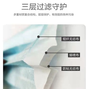 Disposable mask three-layer protection with meltblown cloth dust and haze factory workshop daily protection factory wholesale
