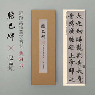 Cao Xiji Zhao Mengfu's Stele Copy Copybook Card at Close Range