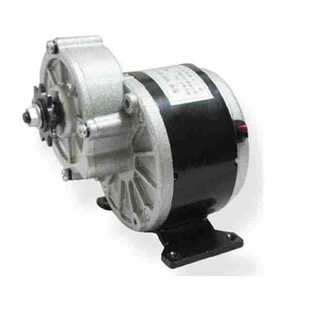 Antelope Electric Tricycle Motor 12V24V250W350W Deceleration Brush MY1016Z2 Yunette Tongtong
