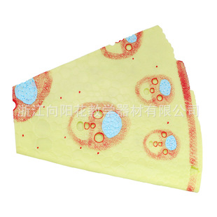 Manufacturer Supply 3204 Single-leaf Plant Stem Model Junior High School Biology Single-leaf Plant Stem Vertical and Horizontal Faceted Model