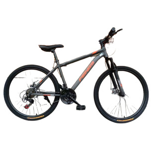 Phoenix Wind Mountain Bike 24 Inch 26 Inch Variable Speed Bicycle 21 Speed Adult Sedor Bank Gift Car