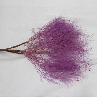 [Eternal Flower dream grass] Small bouquet accessories eternal flower soft silk dream grass multi-color living room home decoration