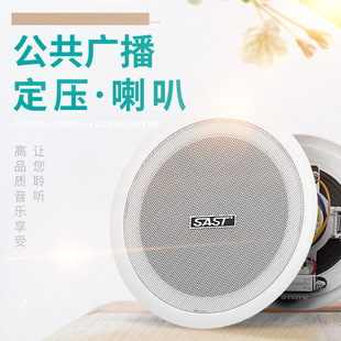 SAST (SAST) ceiling horn ceiling wall hanging ball sound embedded in public broadcasting shop background music