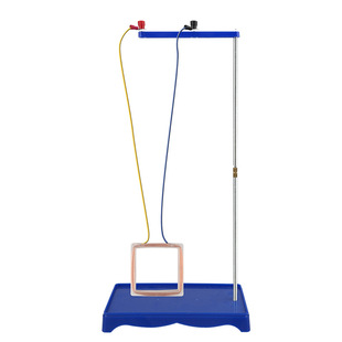 Left and right hand rule demonstrator 24017 Electromagnetic Induction Experiment Teaching Aids junior and senior high school teaching experiment instrument