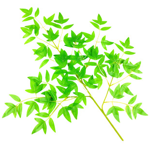 Моделирование Nantian Bamboo Leaf Tiankai Bamboo Branch Flee Home Мягкая одежда поддельные листья украшения сада