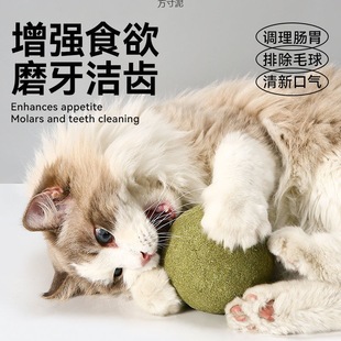 Кошачья игрушка кошачья мятная мячик негабаритный Привет, чтобы избавиться от скуки кошачий котенок дразнит кошачий кошачий палка домашние принадлежности кошачий молярный зуб оптом