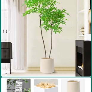Nantianzhu floor-standing potted bionic green plant ornaments living room sofa edge fashion home decoration bonsai simulation fake tree