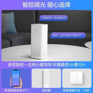 Opal lighting led living room lamp ceiling lamp intelligent dimming modern simple rectangular Nordic ultra-thin minimalist