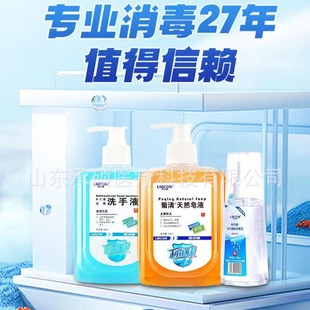 Антибактериальное дезинфицирующее средство для рук Lerkon 500ml Бытовая стерилизация для детей