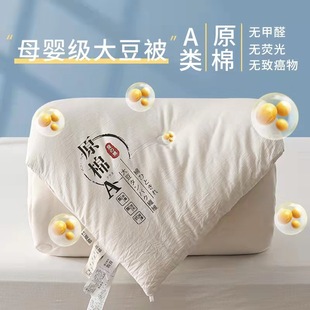 Raw cotton soybean quilt warm winter quilt spring and autumn quilt summer cool quilt Four Seasons quilt gift quilt core bedding wholesale
