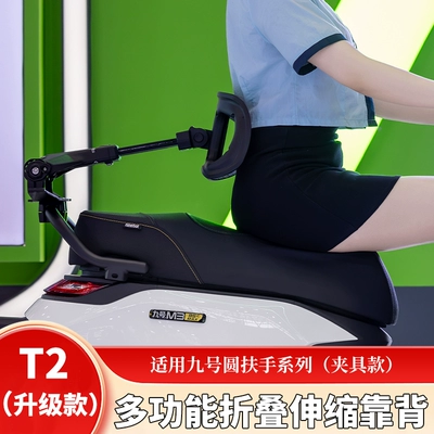 Tingfeng Shiguang T2 No.9 E300 Q85C M5 MZ M95C N70C Mechanic Electric Vehicle Lumbar Support Backrest (Electric car rear backrest) - round-armrest-series-except-e300p-2nd-generation-default-item