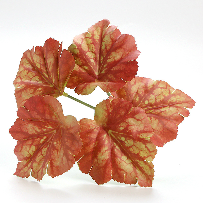 Autumn Red Alum Root