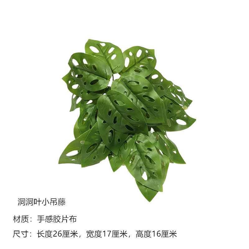 cave leaf small hanging vine 