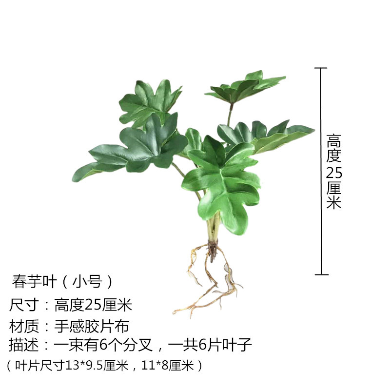 Spring Taro Leaf Trumpet