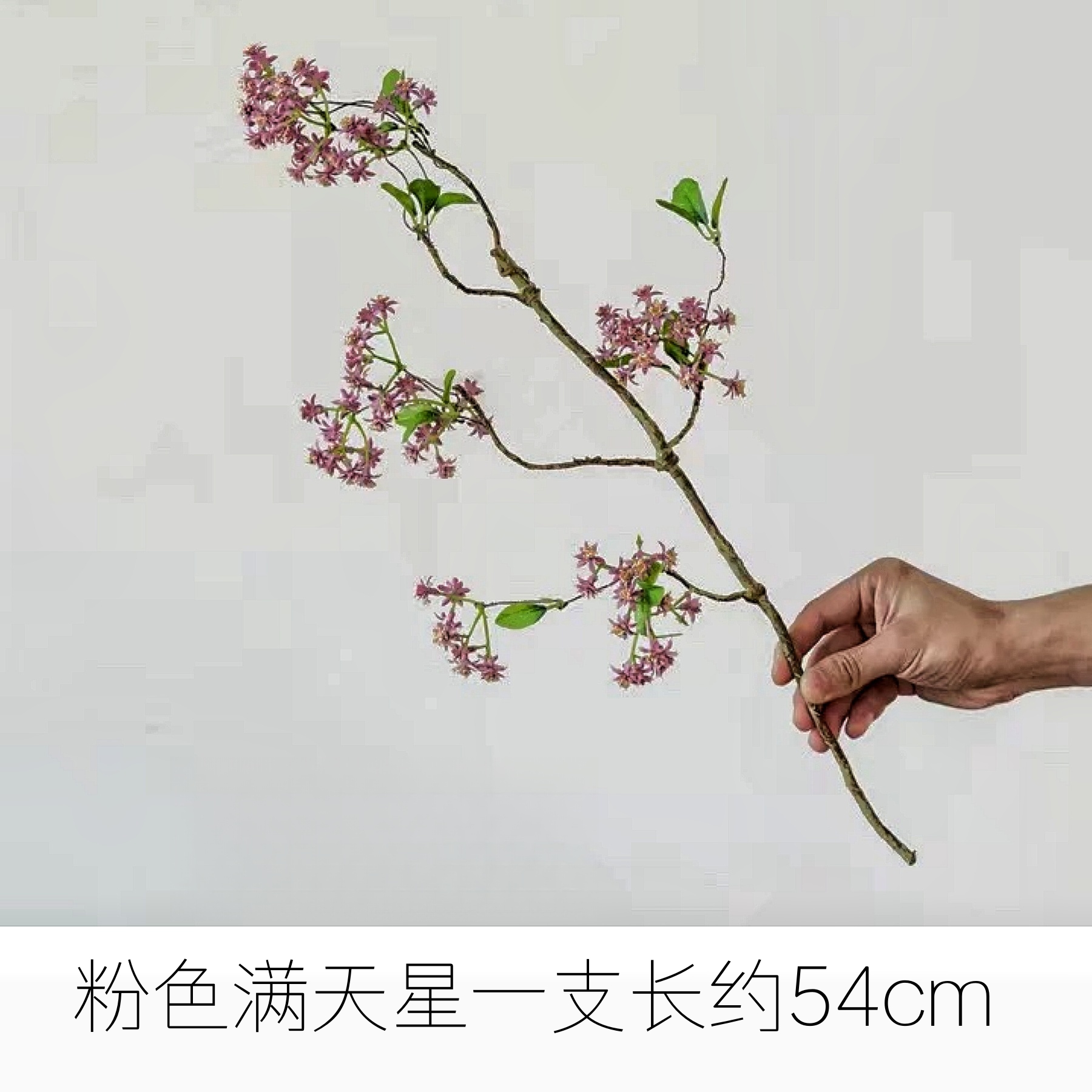 A Single Sprig of Baby's Breath