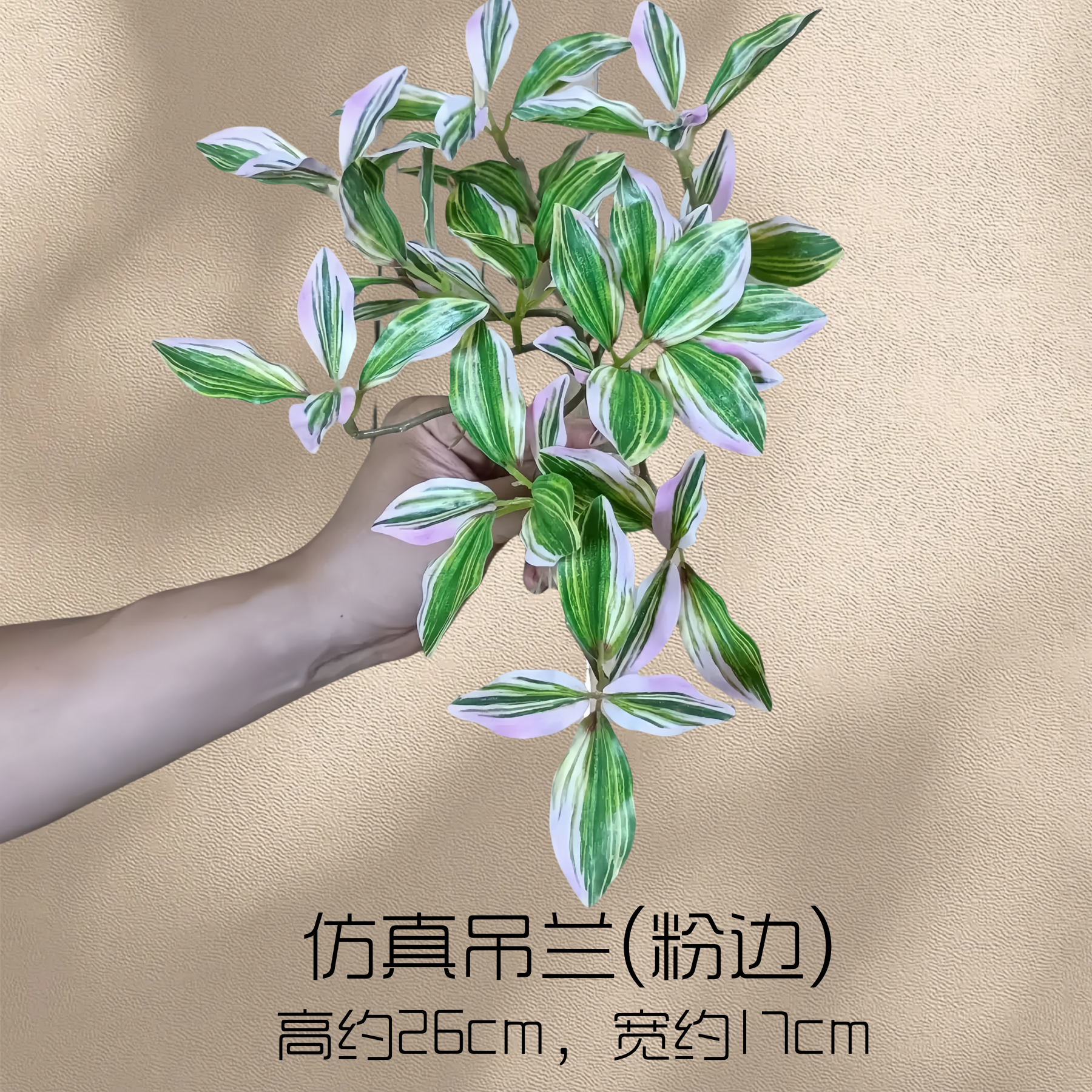 Simulated Pink Edge Spider Plant