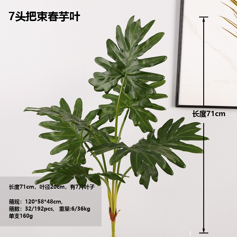 Bundle of Spring Taro Leaves