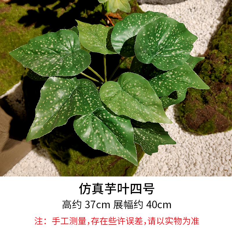 Taro Leaf No. 4/Height 37cm, Width 40cm