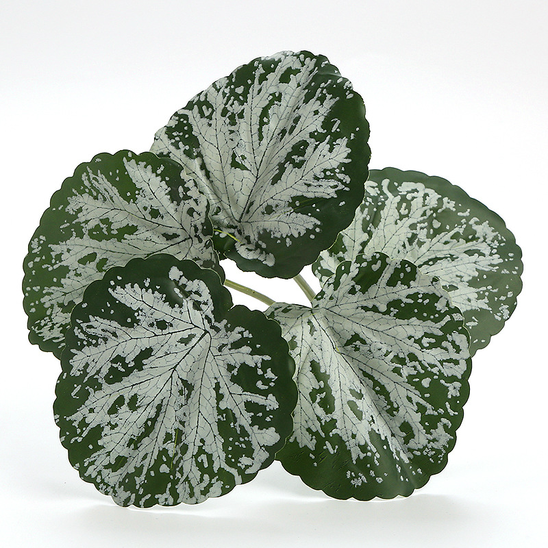 White-Faced Crabapple