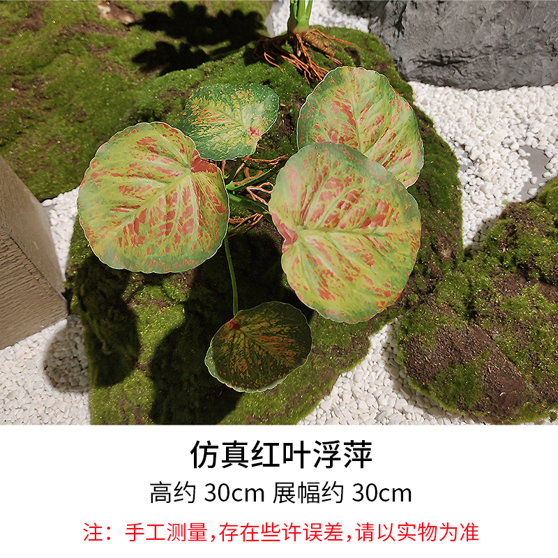 Red Leaf Duckweed/Height 30cm, Width 30cm