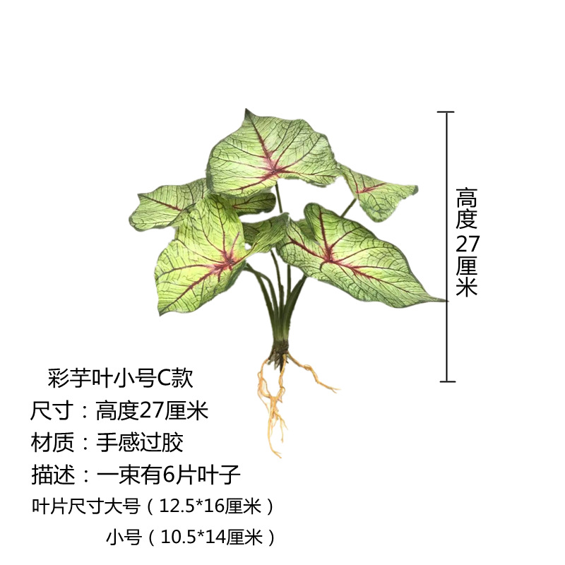 Small C-Style Taro Leaf