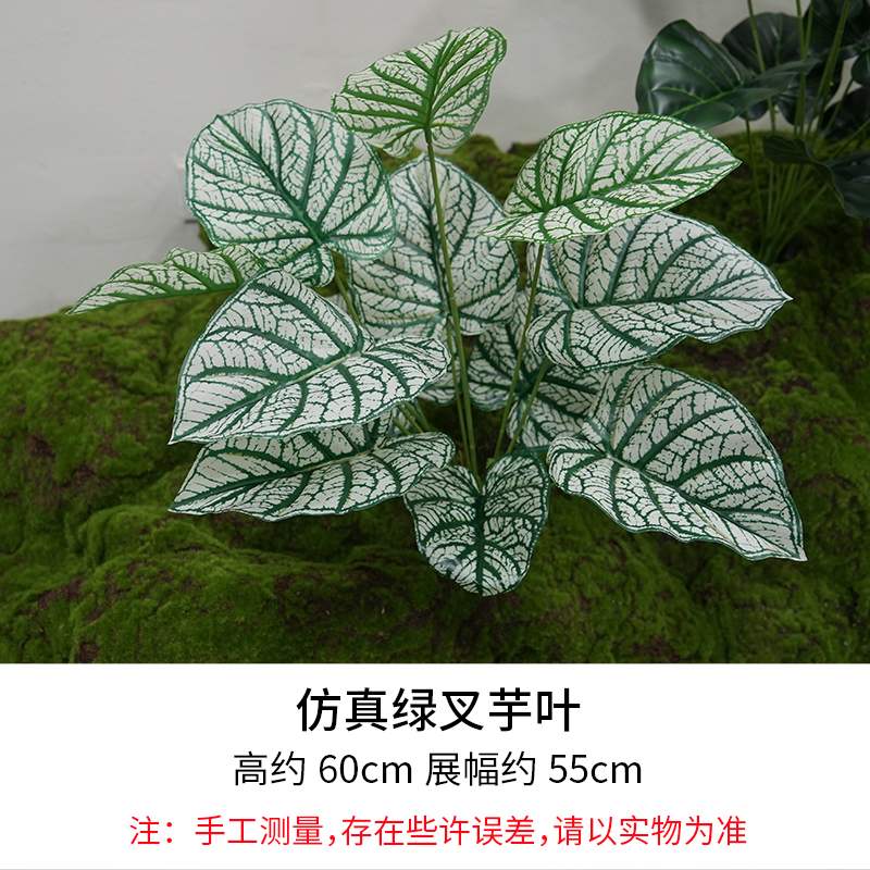 Green Fork Taro Leaves/Height 60cm, Width 55cm