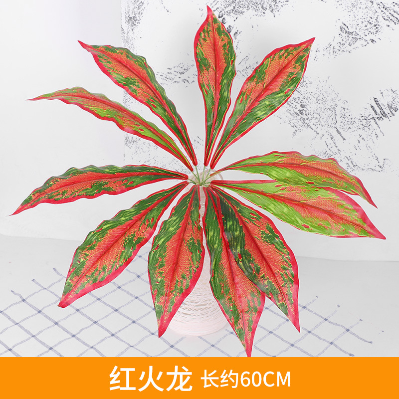 Red Fire Dragon Grass