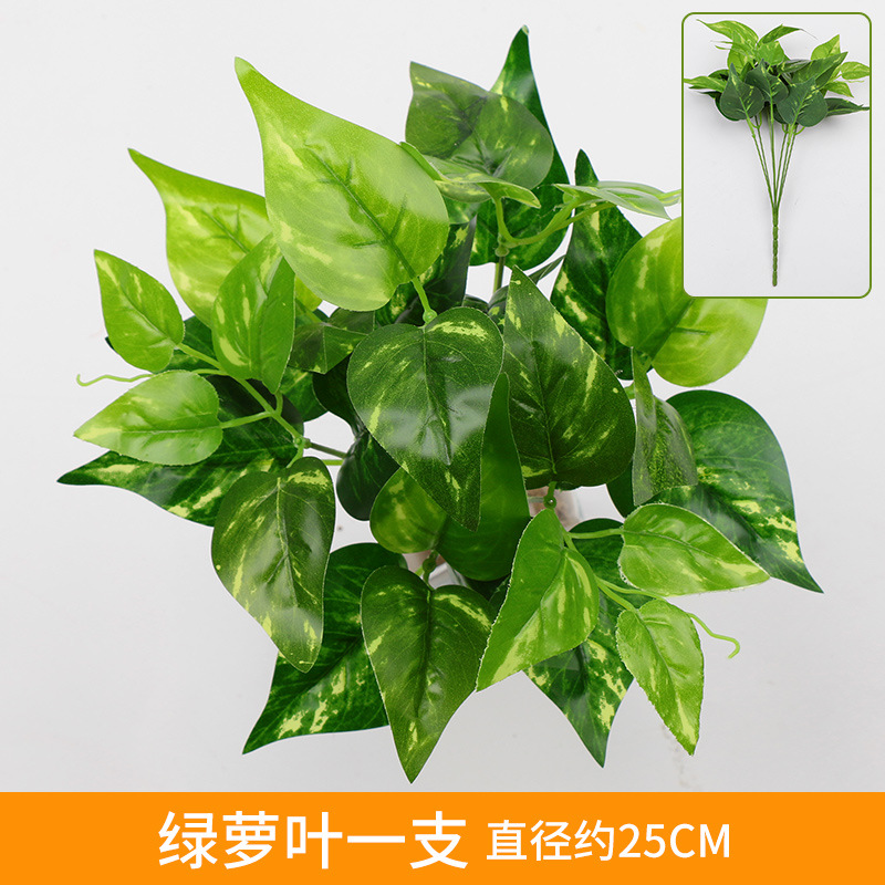 Pothos Leaf Accessories