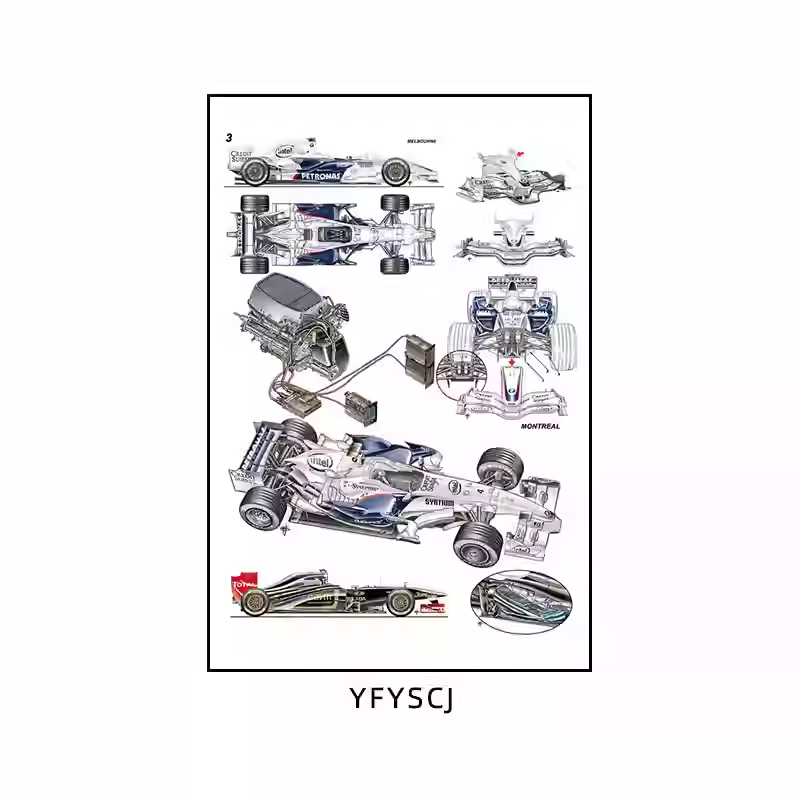 YFYSC-10
