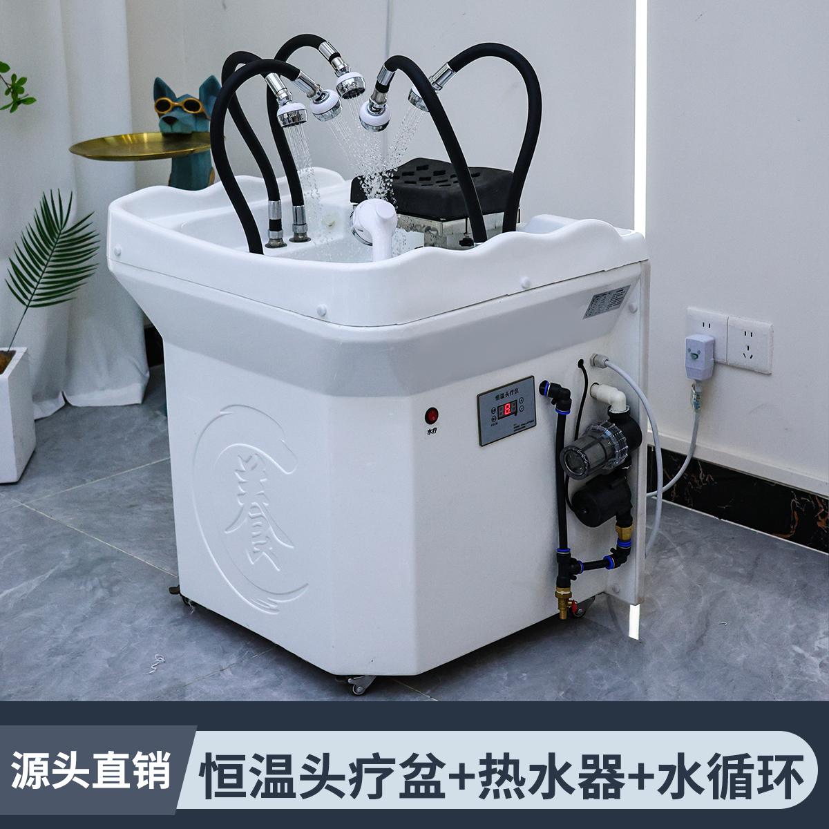 Constant Temperature Head Therapy Basin + Water Heater Water Circulation