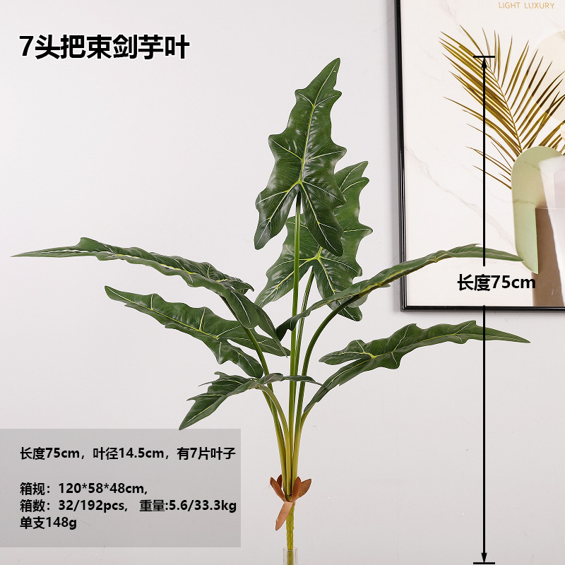 Bundle of Sword Taro Leaves