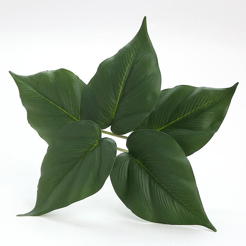 Pothos Leaves