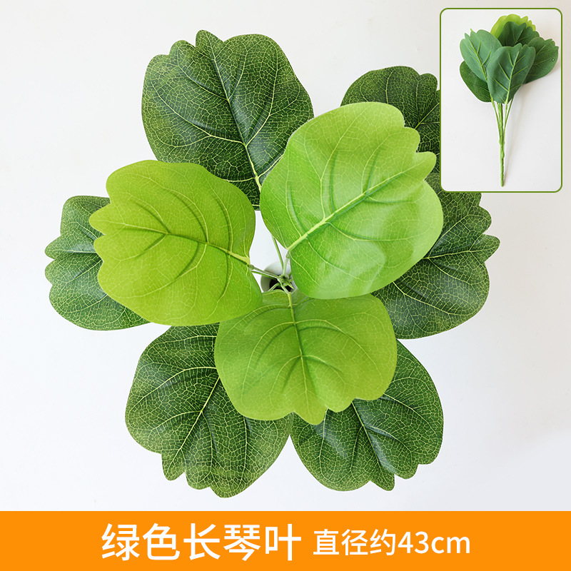 Green Long Sword Leaf