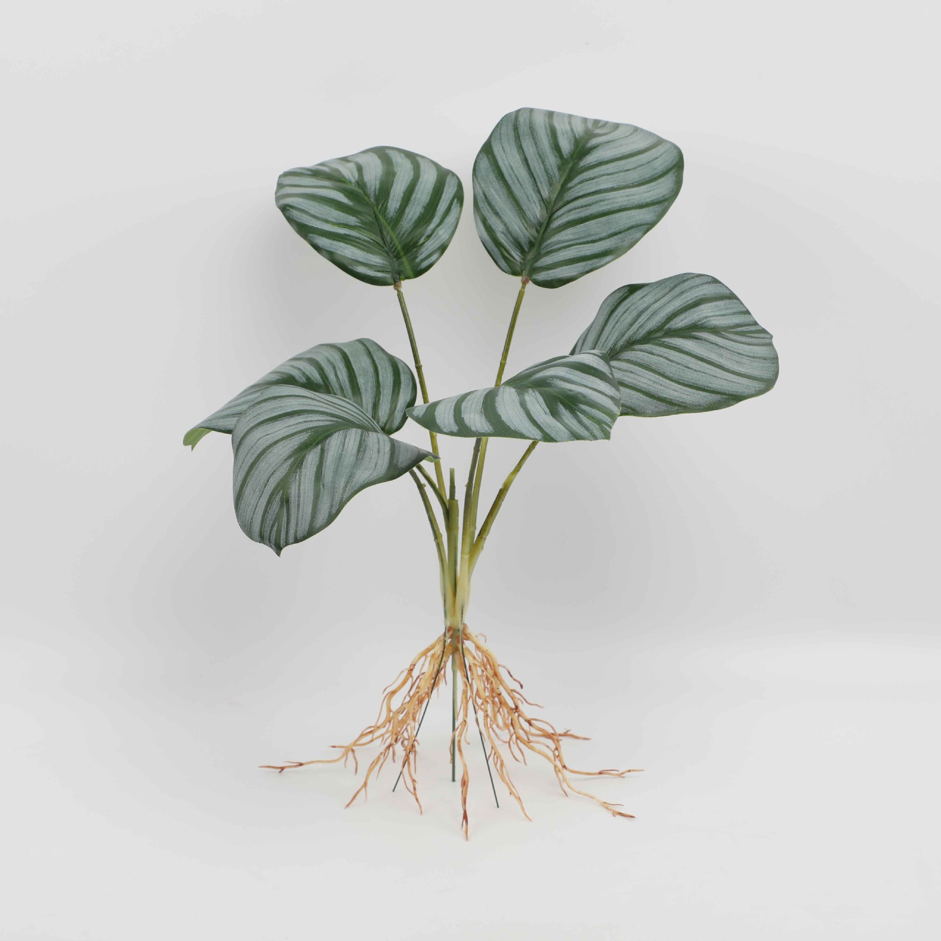 Six-Head Green Apple Yh922-440-6